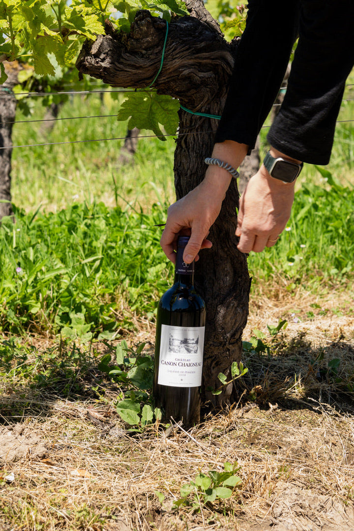 How to spot a good Bordeaux Red without spending a fortune