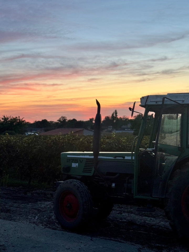 How Château Canon Chaigneau Decides the Perfect Harvest Date