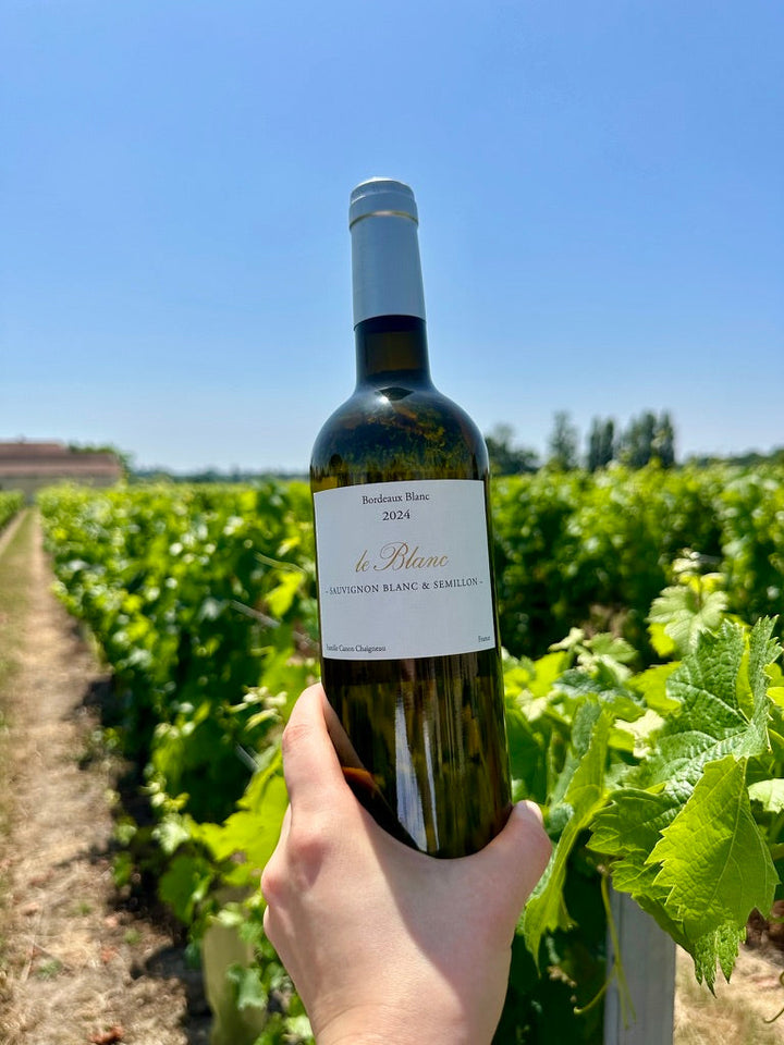 Why some Bordeaux vineyards don’t make White Wine