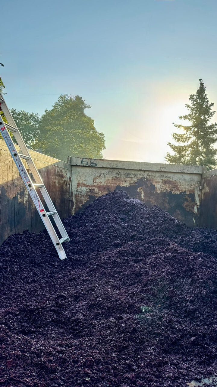 Racking in Winemaking: Understanding the Écoulage