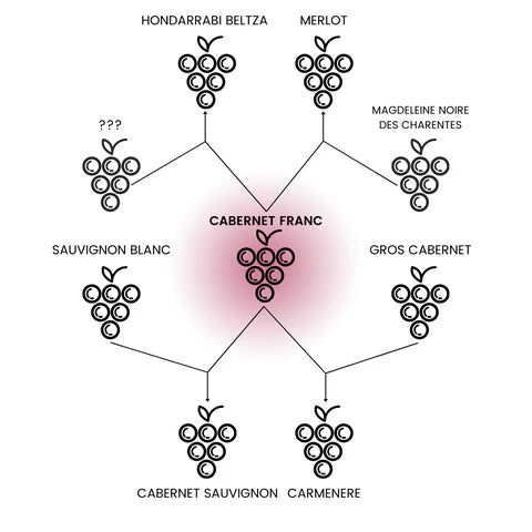 source: wine tourism